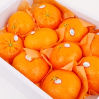 [농협공판장] 당도선별 정성드린 제주만감 2종묶음세트(한라봉+레드향 각3kg 13과내)