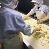 저온숙성 발효 묵은지(푸)