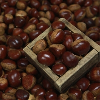 [주말특가] 제철 가장 맛있는 국내산  햇 밤