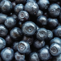 [보름데이!] 프리미엄 생 블루베리(푸)