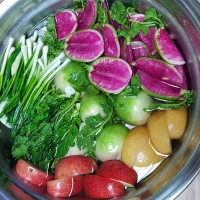 수박무 2kg~6kg(최)