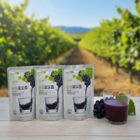 100% 포도 물한방울 넣지 않은 상주포도즙 110ml 50포 NFC주스 저온착즙