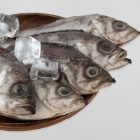 삼천포 용궁수산시장 반건조 생선 자반세트