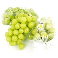 [명절특선] [과일예찬] 김천 샤인머스캣세트 3종 1.5kg(2~3수) / 2kg(2-3수) / 4kg(4-5수)