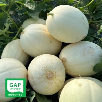 부드러운 과육 고당도 설향메론(푸)