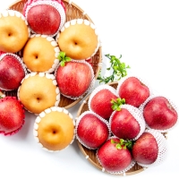 [1/19일부터 순차출고] [농협] 한아름드린 프리미엄 사과/배혼합세트 6kg내외(사과5과/배5과)