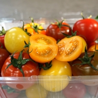 [GAP인증] 칵테일토마토 [1kg-2kg]