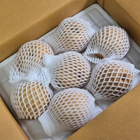 [주말특가] 아삭하고 시원한 나주배