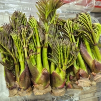 국내산 참두릅(푸)