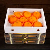 [제주향기] 탐나는 천혜향 3kg(10-12과내)  1박스/2박스