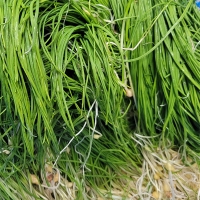 [보름데이] 봄향기 가득한  달래장