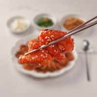 [단짠예찬] 오션쉐프 국가대표 쭈꾸미볶음 2팩/3팩/5팩 (팩당300g)