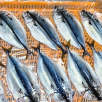 [제주] 국내산_손질 고등어 300gx2팩