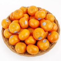 [농협공판장] 정성드린 미국산 귤 만다린 2kg/3kg