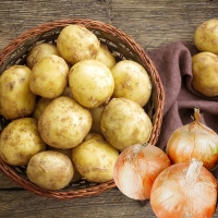 [농협] 한아름드린 수미감자 2kg/3kg/5kg/10kg (중대/개당60-100g)