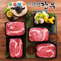 [명절특선] [축협] 대관령한우 1++등급(근내지방도7이상) 눈꽃등심 3종 선물세트(팩당 600g)