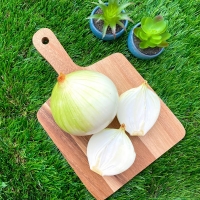 [부엌애] 25년 햇양파 부안 해풍 특상품 양파 2.5kg~10kg