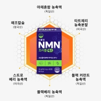 [웰리즈] 식물성 NMN 트리플에스 엔엠엔 파이토 60정 30g (500mg x 60정), 1개