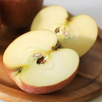 아삭아삭 달~콤한 가정용 부사사과(푸)