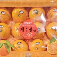 [선물세트]프리미엄 고당도 천혜향(푸)