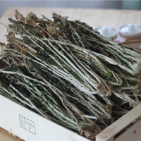 [보름데이] 강원도 평창  무청시래기