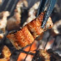 [명절브팜] 고창 풍천장어 선물세트 100% 품질보증 기운 센 불끈불끈 전북 고창 민물장어 1KG (손질 전)