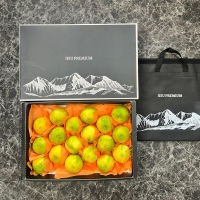 [명절브팜] 제주 황금향 2kg 3kg 5kg 선물세트