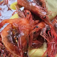 ★냉동★ 동해안 자연산 홍새우 500g/팩 단새우 꽃새우 동해직송