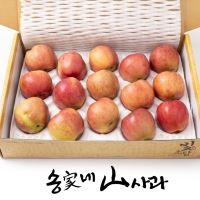 [송가네산사과] 실속 못난이 사과 4.5kg (중소과 19~25과내/대과 13~18과내)