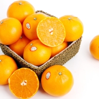 [농협공판장] 당도선별 정성드린 제주만감 2종묶음세트(천혜향+레드향 각3kg 10과내)