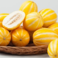 고당도 성주참외 가정용 중소과 1.5kg~5kg