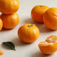프리미엄  만다린귤(푸)
