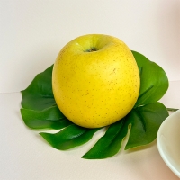 [오커캄스] 황금빛 시나노 골드 사과 2kg 3kg