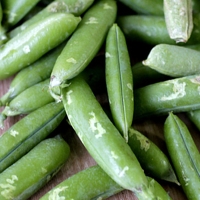 [자연속애] 껍질째 그대로 신선 햇 완두콩 1kg/2kg/3kg/4kg/5kg