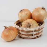 [신한카드 할인] 품질보장 국내산창녕 고령 햇양파 중 대 특 3kg 5kg 10kg