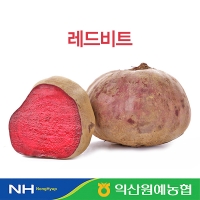 [농협] 한아름드린 레드비트 3kg/5kg/10kg(특/개당180-300g)