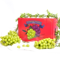 [농협] 한아름드린 샤인머스캣 선물세트 2kg내외(특3-4수)