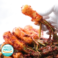 아삭아삭 달콤시원 총각김치(푸)