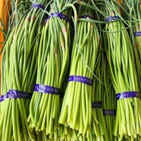 [산지직송] 국내산 햇 마늘쫑 특상품 [200g-2kg]