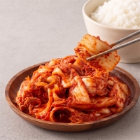 [제휴B]매운실비 겉절이/총각 김치(최)