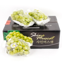 [과일예찬] 탐나는 김천 샤인머스캣세트 1.5kg(특2-3수)