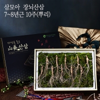 [삼모아] 산양산삼 7-8년근 3/5/7/10뿌리(건강사랑세트)/우드락+패키지케이스+실크보자기