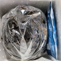 꼬들 꼬들 완전  맛있는  생미역