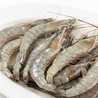 [제철수산물]활 흰다리새우 1kg(최)