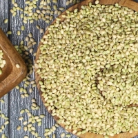 (25년산) 홍성농부의 찰녹미 1kg 직접도정