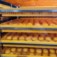 [만원의 행복] 전통방식의 반건시 영동곶감(푸)