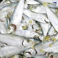 [자연원] 국내산 완도 디포리(밴댕이) 1.5kg(특/박스)