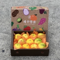 [명절브팜] 제주 황금향 2kg 3kg 5kg 선물세트