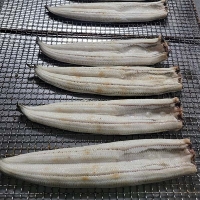 고창 풍천 장어 국내산