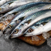 노르웨이 손질  순살 간 고등어 140gx7팩